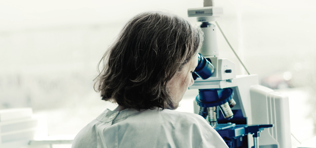 Diagnóstico de Leishmaniose.